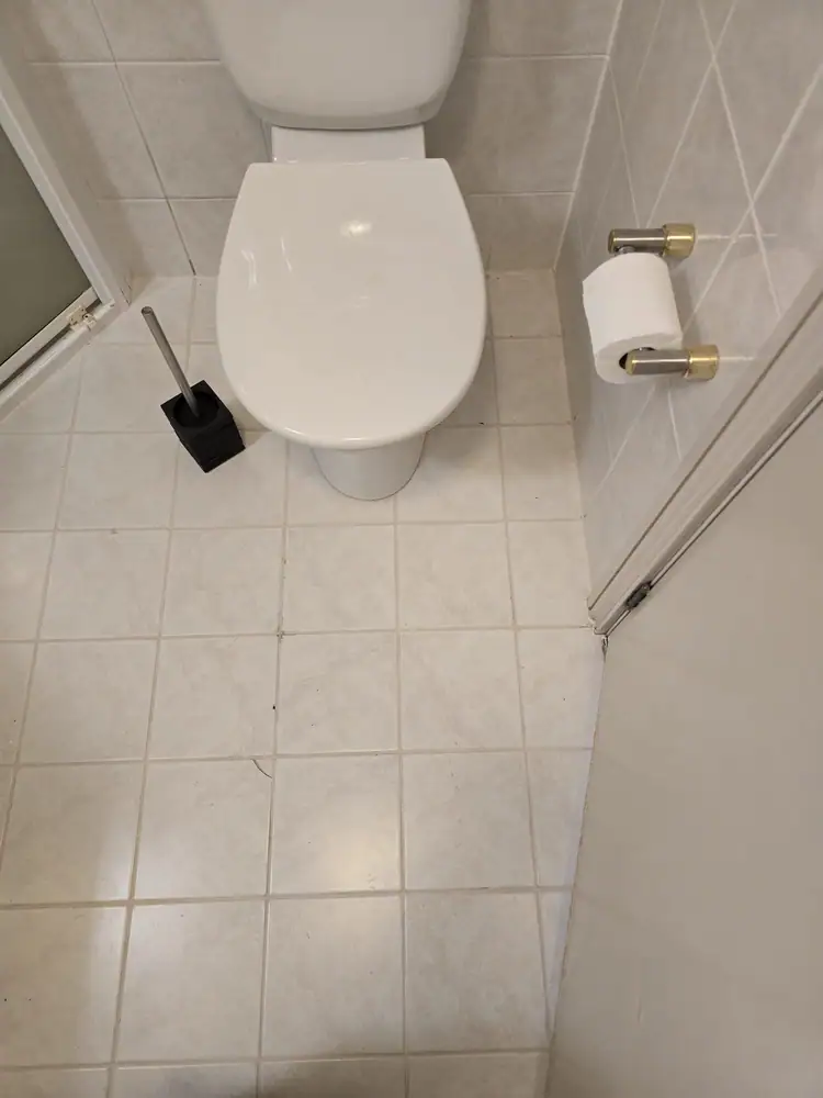 Bathroom floor after tile regrouting